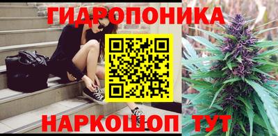 a pvp Дубна