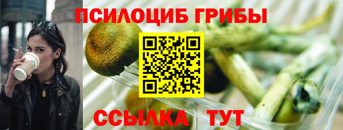 Псилоцибиновые грибы мицелий  Вход с VPN  Новоалтайск  Псилоцибиновые грибы Psilocybe 